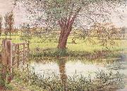 William Bell Scott Landscape with a Gate and Watermeadow (mk46) oil on canvas